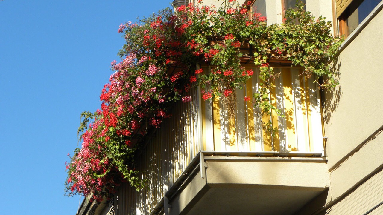 Photo of Patio Balcony in Casteldaccia