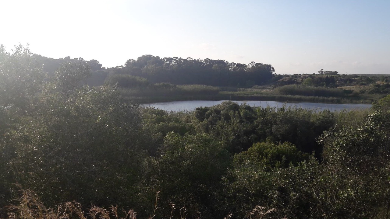 Photo of Others in Mazara del Vallo