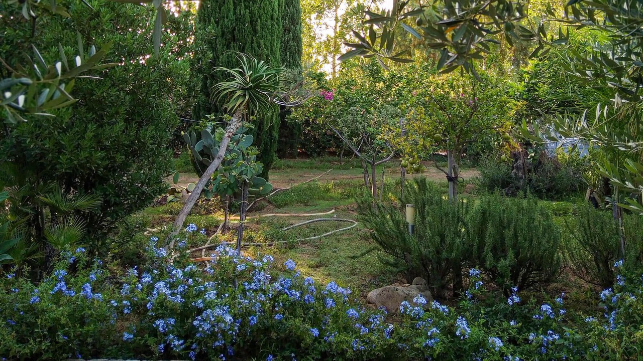 Photo of Others in Contrada Fiori Sud