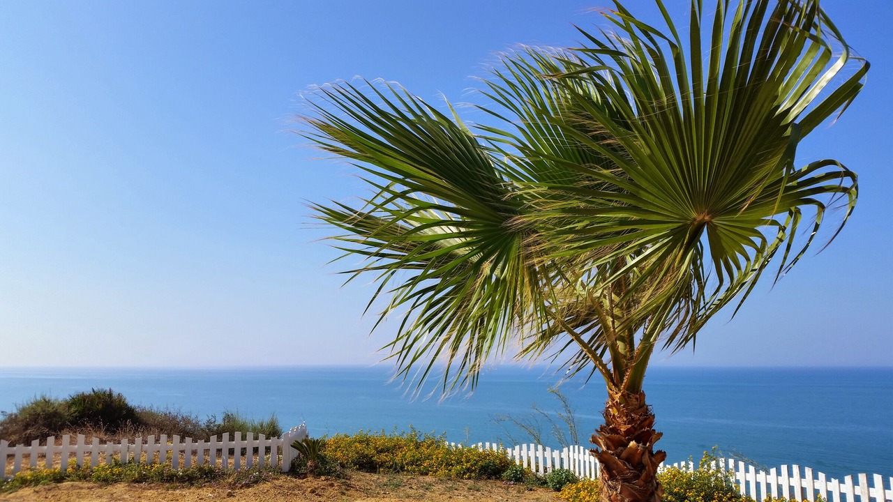 Photo of Outdoor in Pergole