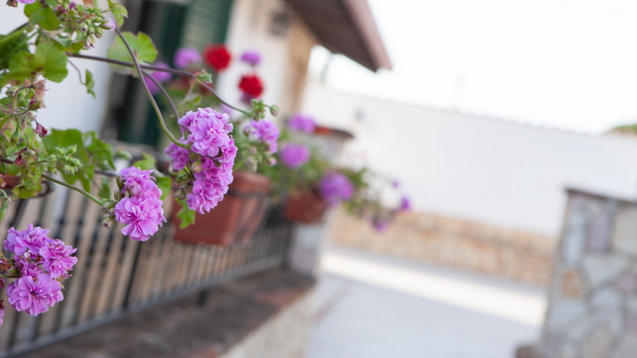 Photo of Outdoor in Partinico