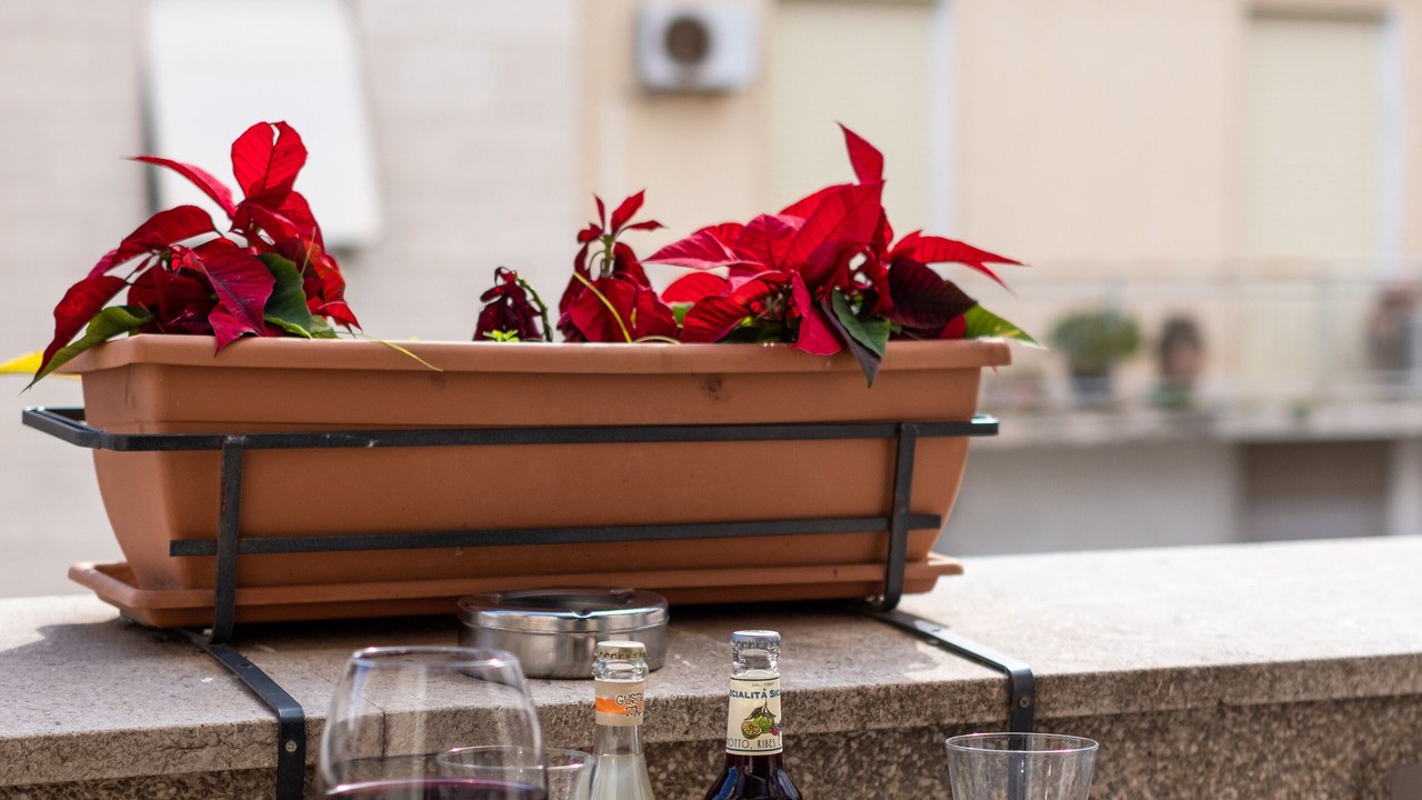 Photo of Outdoor in Ruggero Settimo