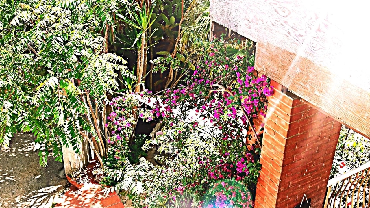Photo of Outdoor in Pisciotto-Carrubella