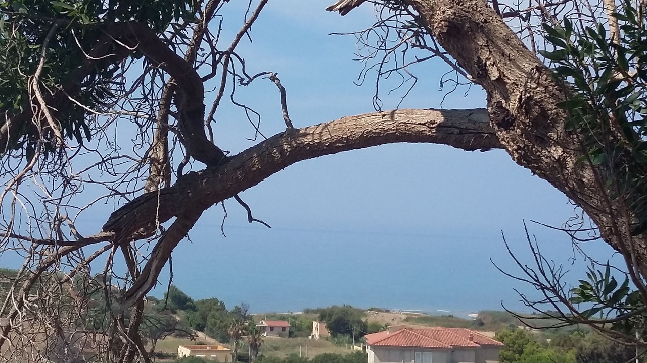 Photo of Others in Seccagrande