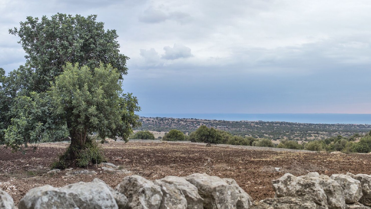 Photo of Others in Ragusa