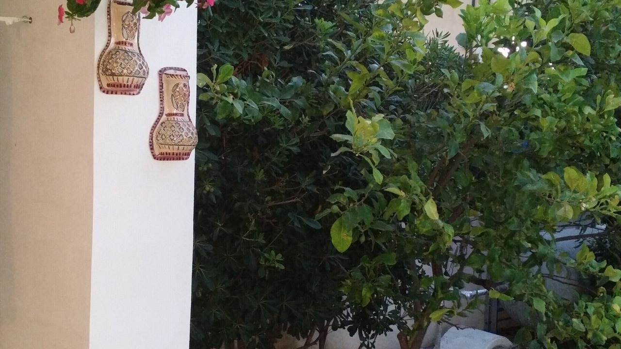 Photo of Outdoor in Fondo Morte