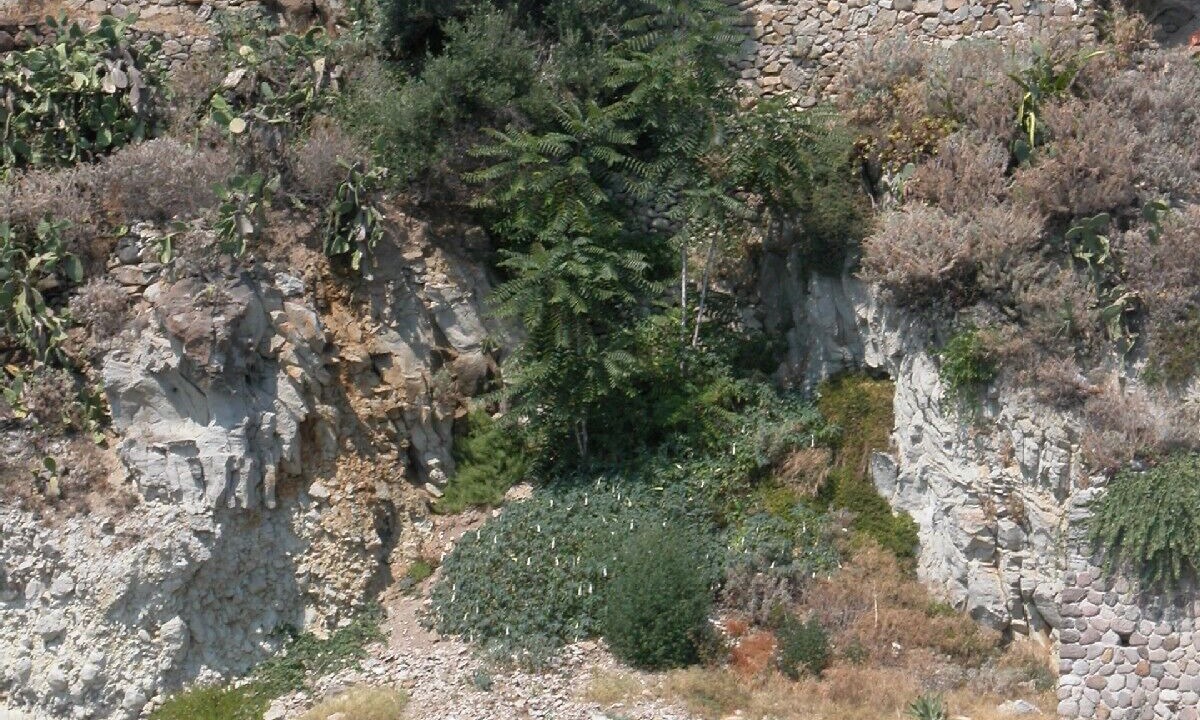 Photo of Others in Panarea