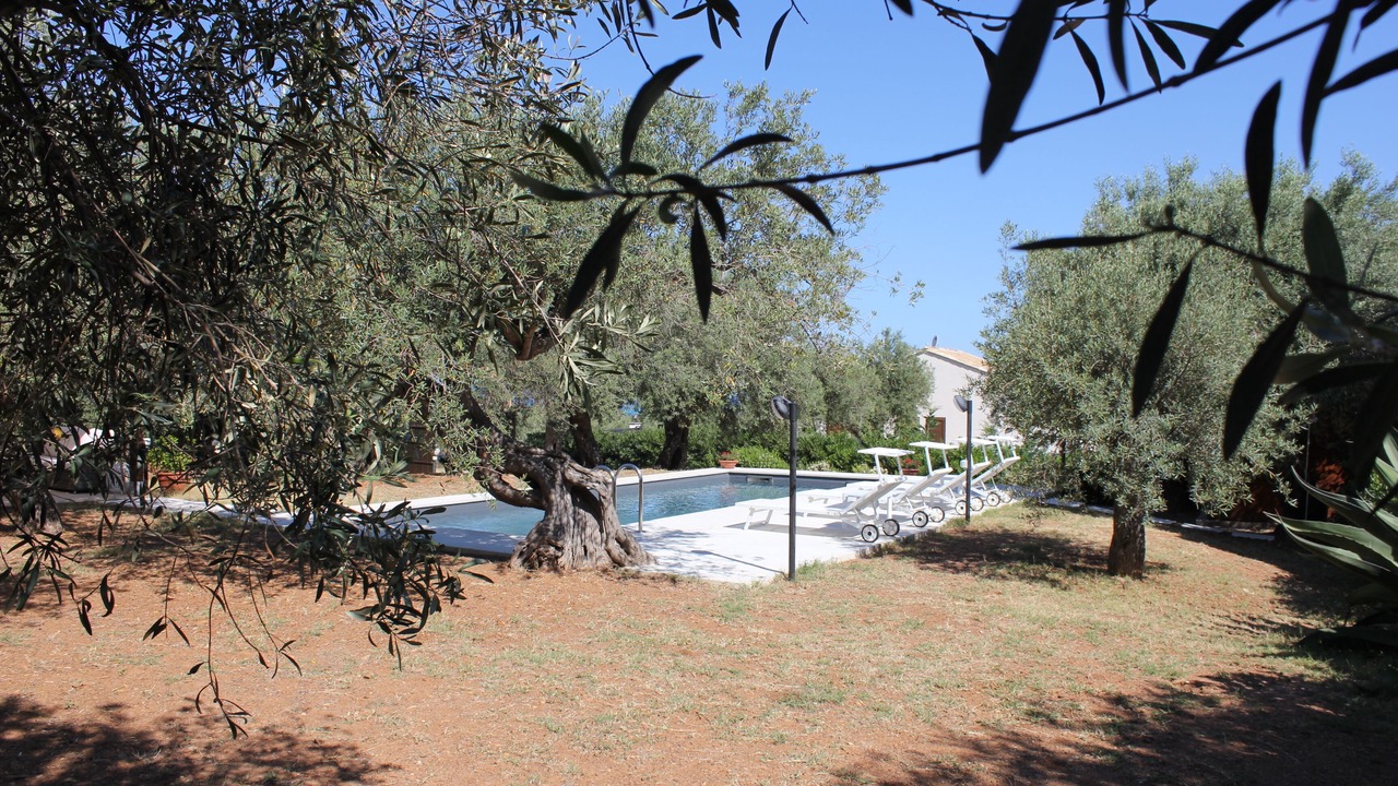 Photo of Outdoor in Capo