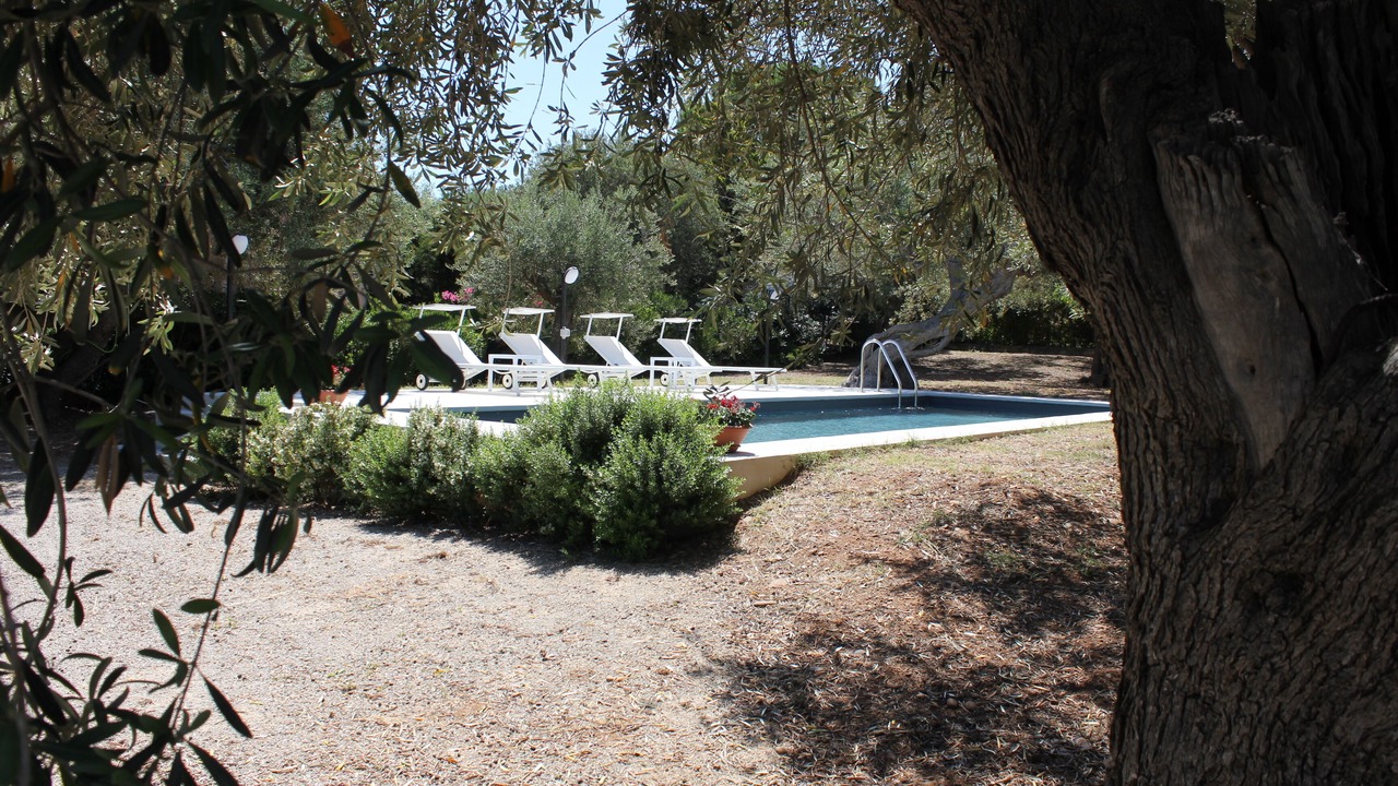 Photo of Outdoor in Capo