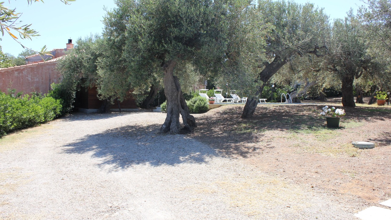 Photo of Outdoor in Capo