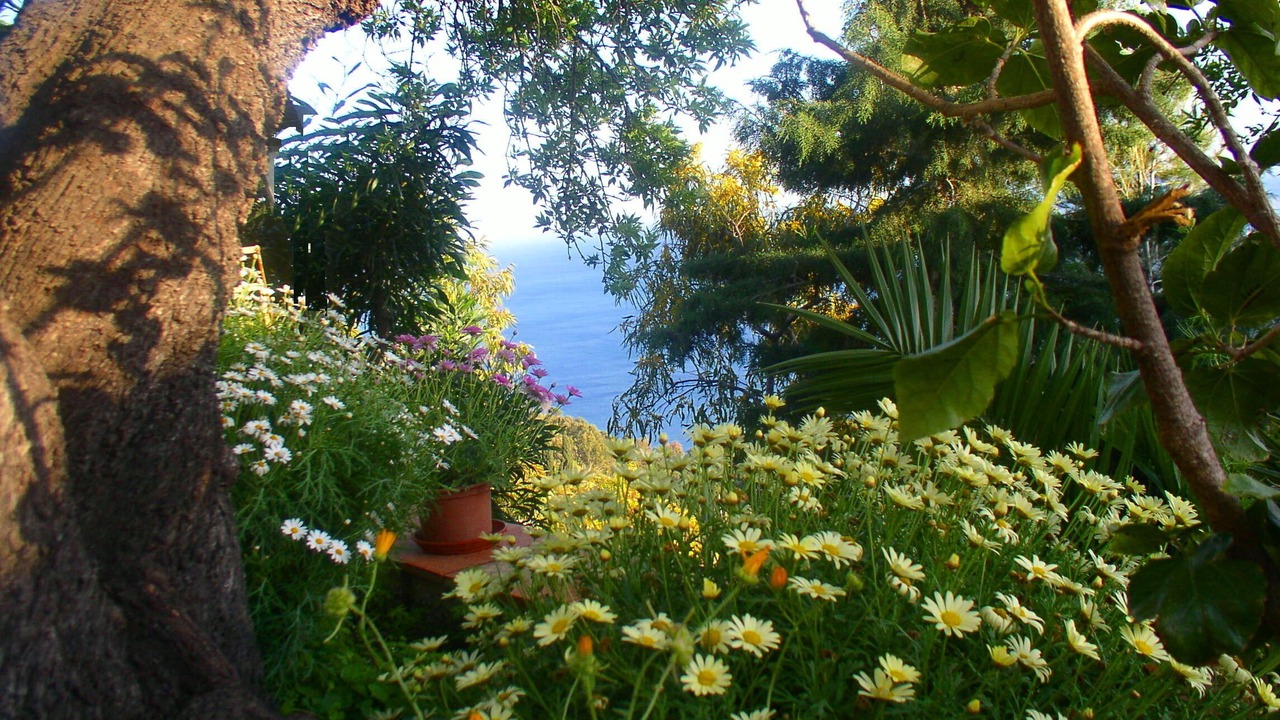 Photo of Outdoor in Taormina