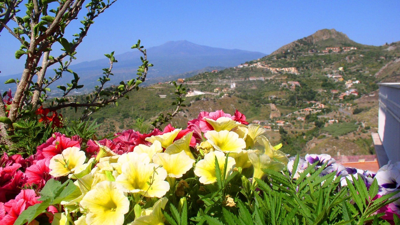 Photo of Others in Taormina