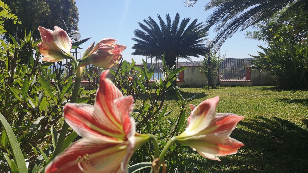 Photo of Outdoor in Costa Saracena-Castelluccio