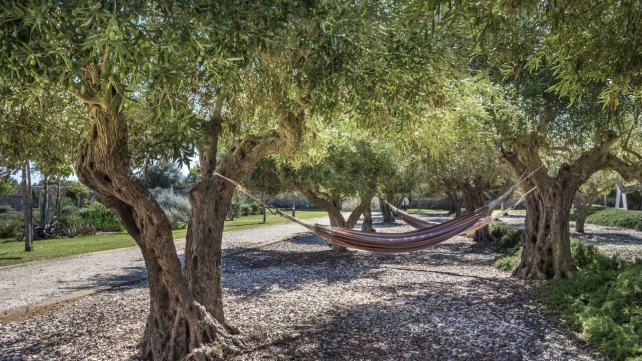 Photo of Outdoor in Favignana
