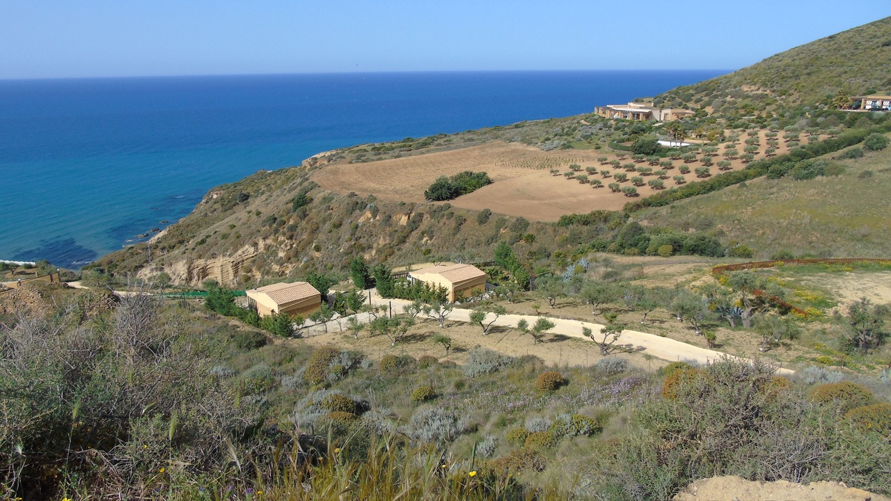 Photo of Outdoor in Pergole