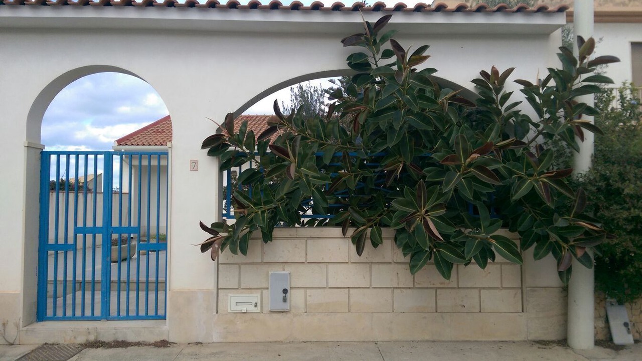 Photo of Outdoor in Scoglitti
