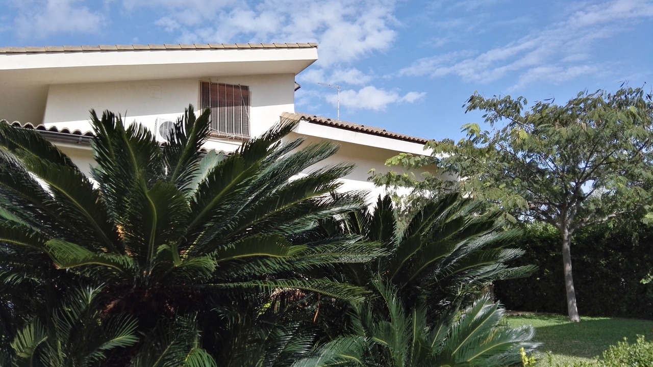 Photo of Outdoor in Oliveto