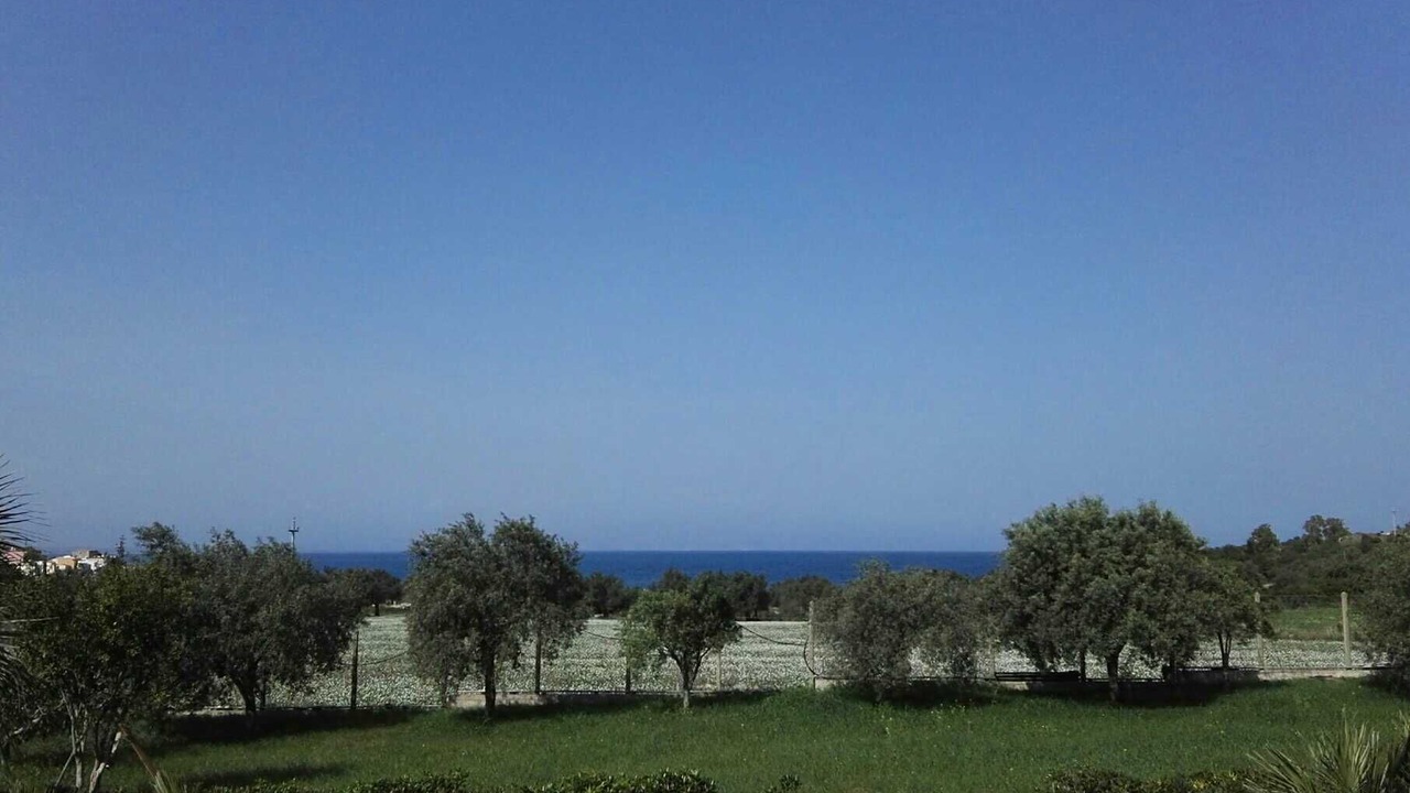 Photo of Outdoor in Oliveto