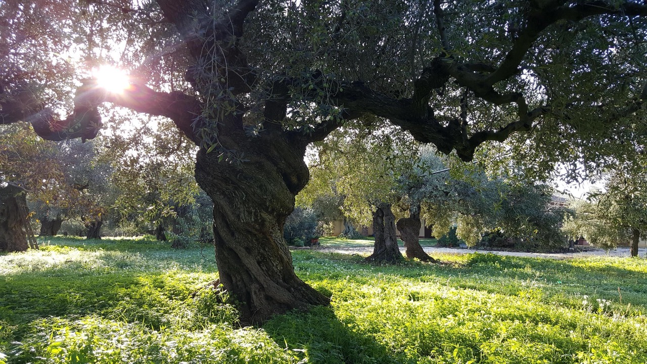 Photo of Outdoor in Sciacca