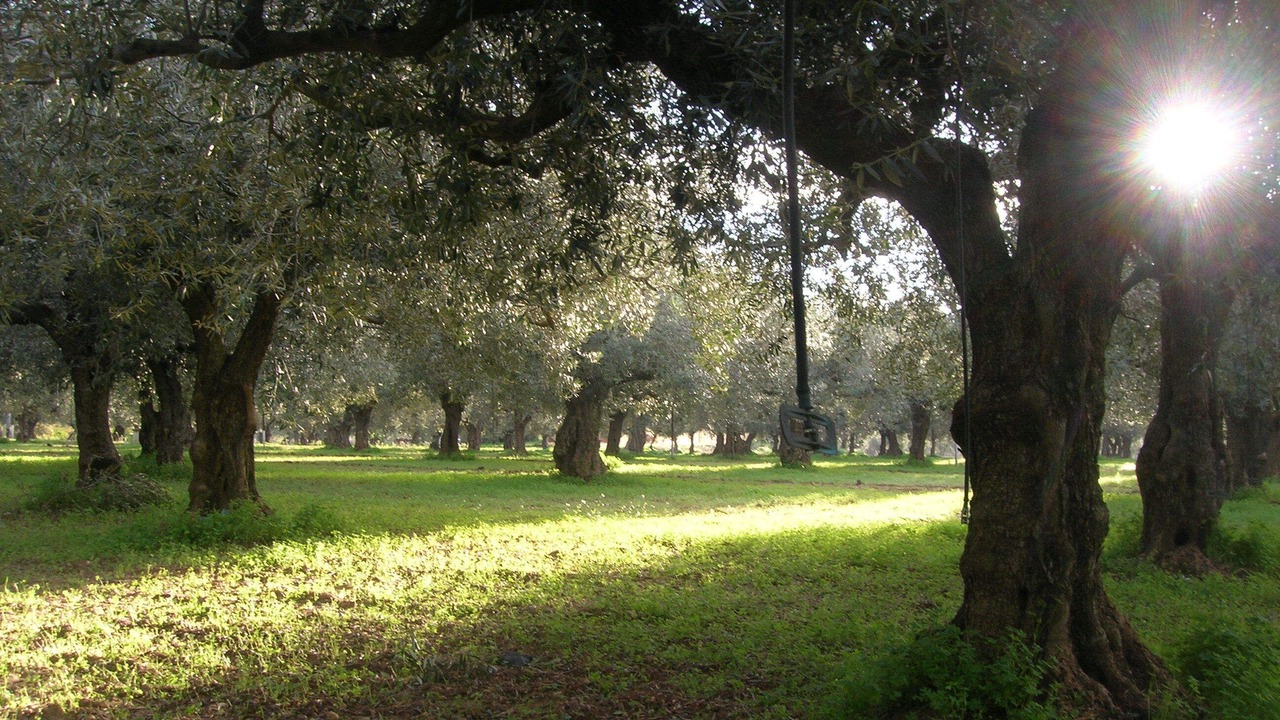 Photo of Outdoor in Sciacca
