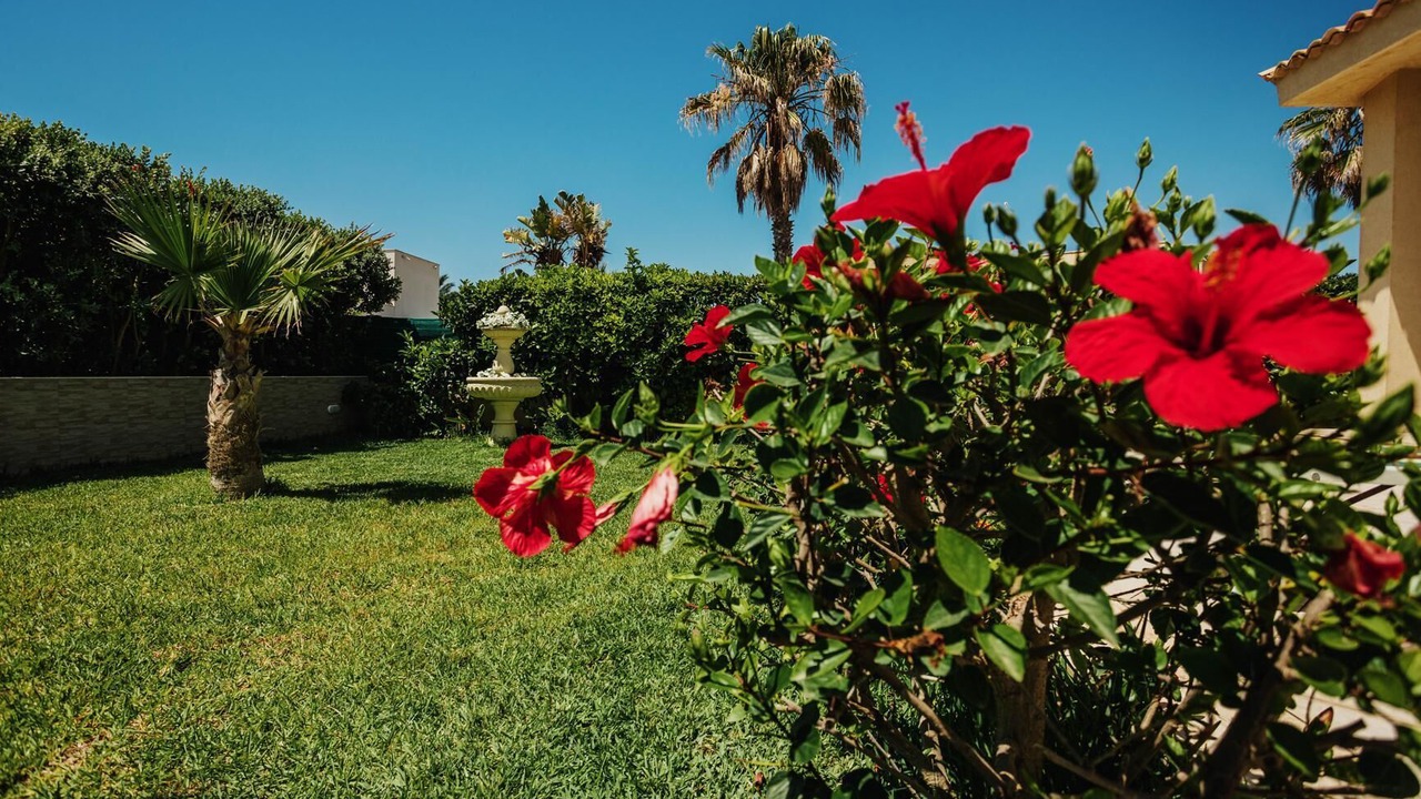 Photo of Outdoor in Tre Fontane