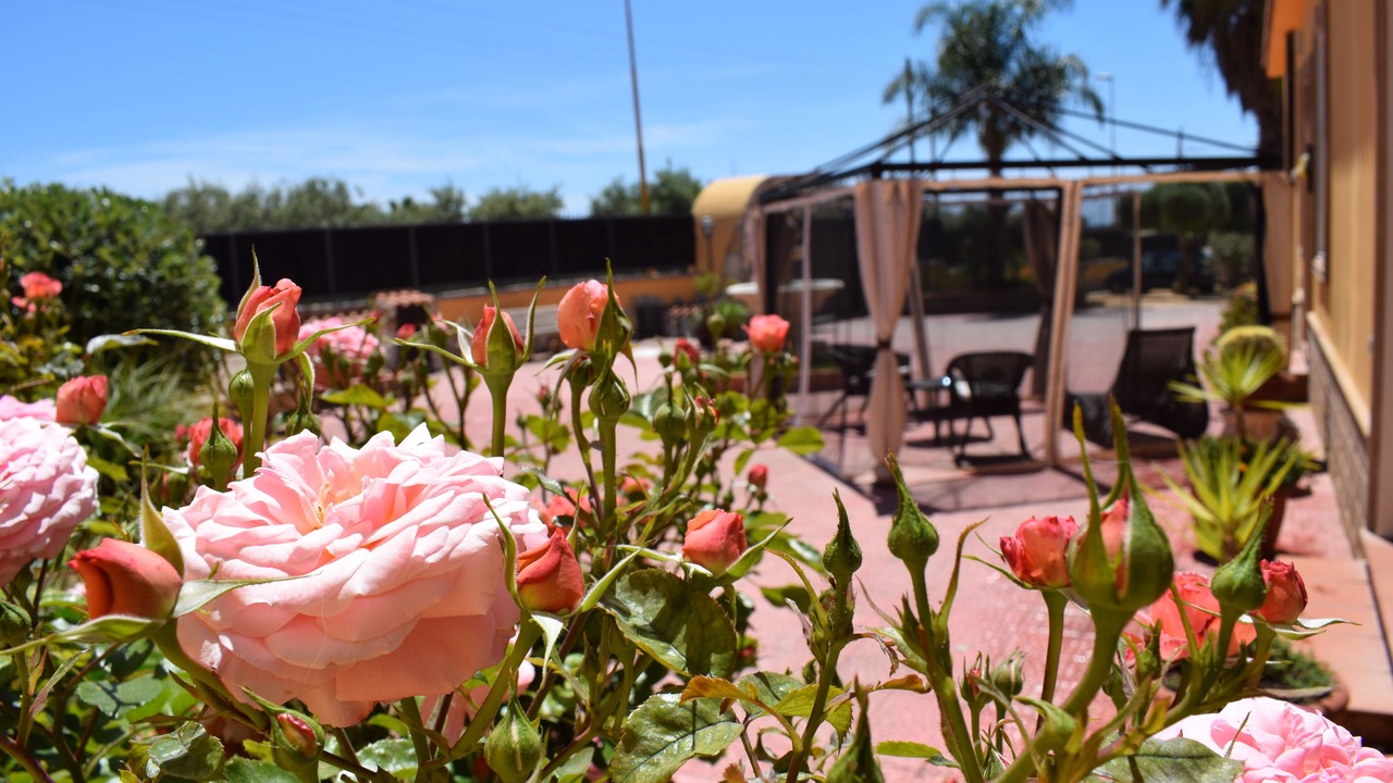 Photo of Outdoor in Villaggio Mose