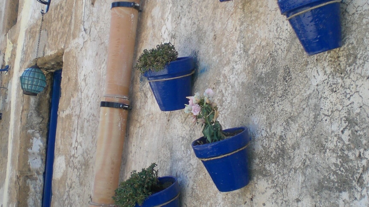 Photo of Outdoor in Castelvetrano