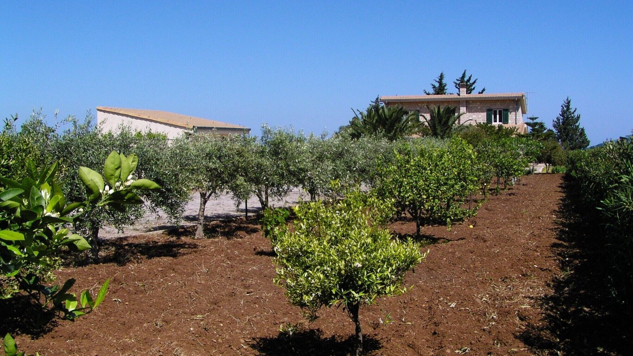 Photo of Outdoor in Campofelice di Roccella