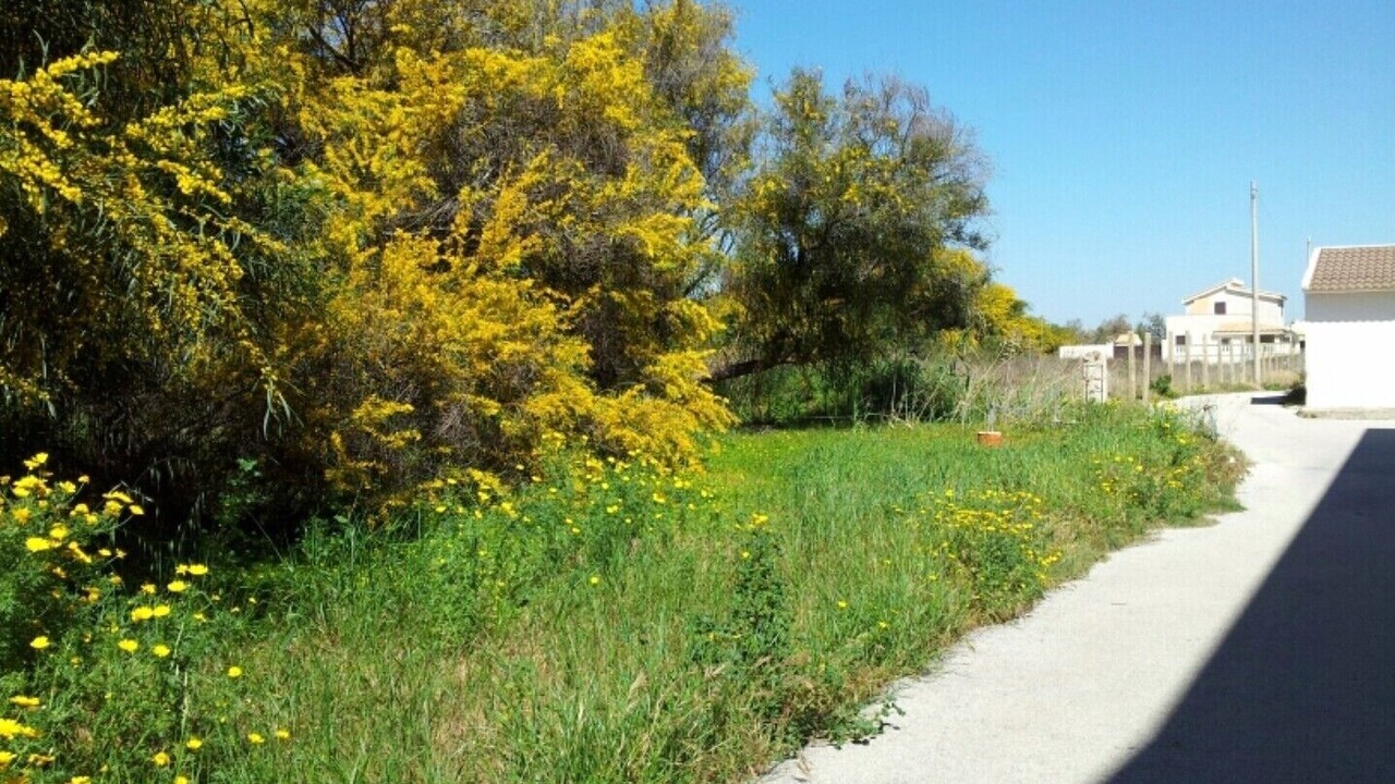 Photo of Outdoor in Marzamemi