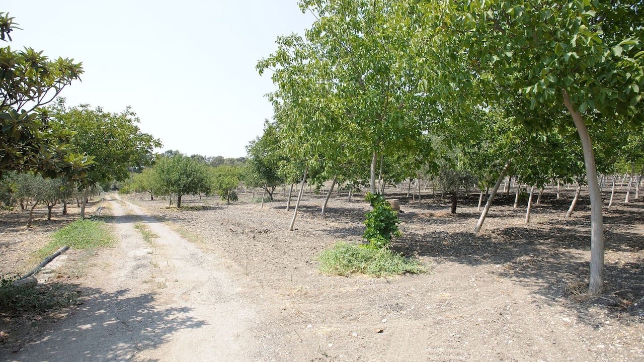 Photo of Outdoor in Racalmuto