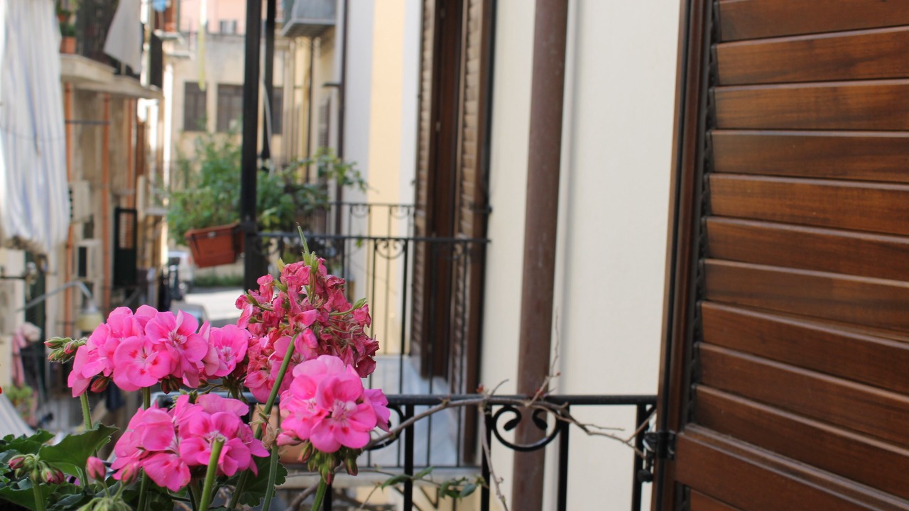 Photo of Outdoor in Monte di Pieta