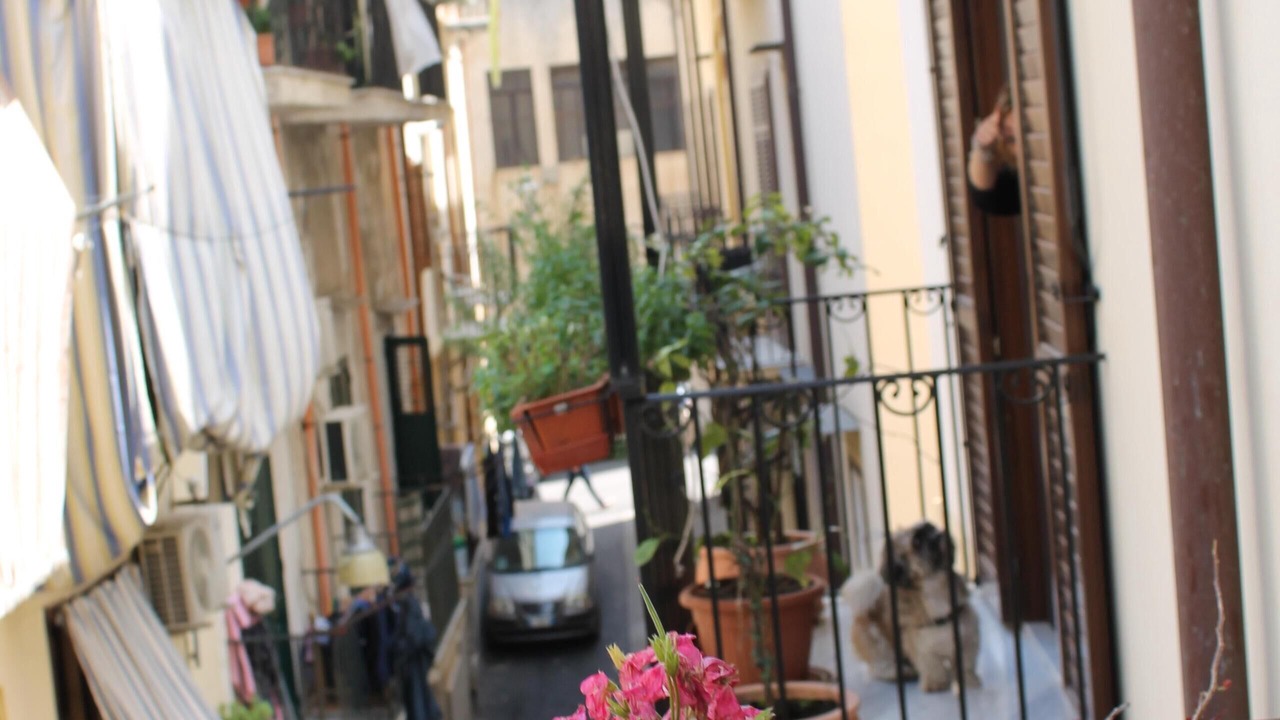 Photo of Outdoor in Monte di Pieta