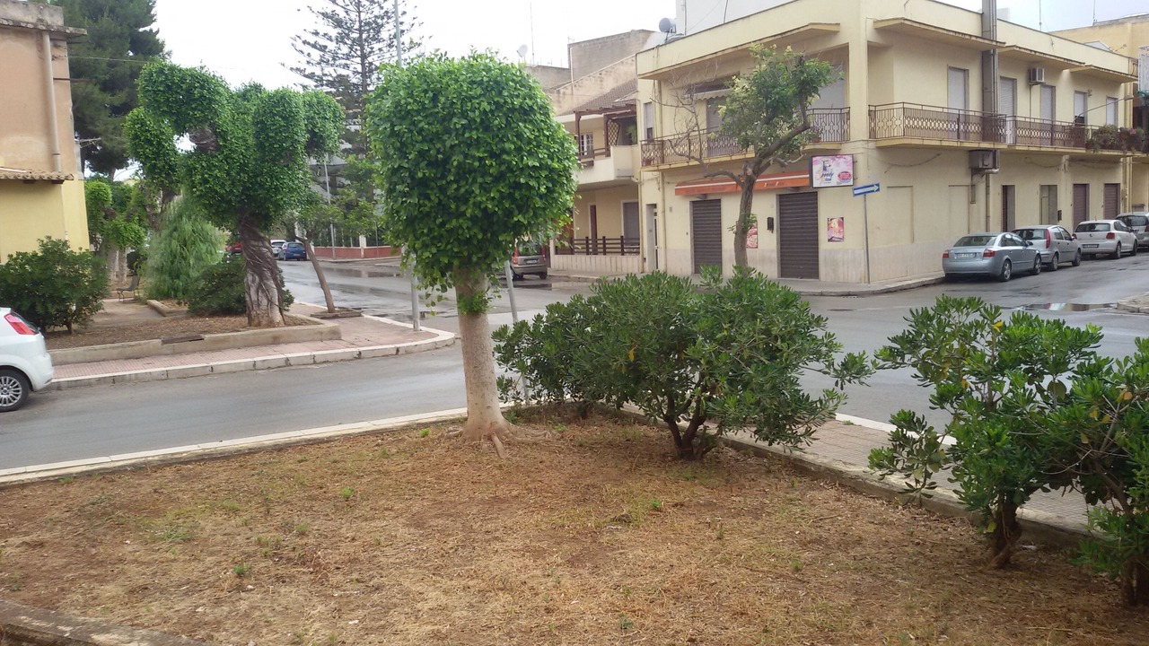 Photo of Outdoor in Mazara del Vallo