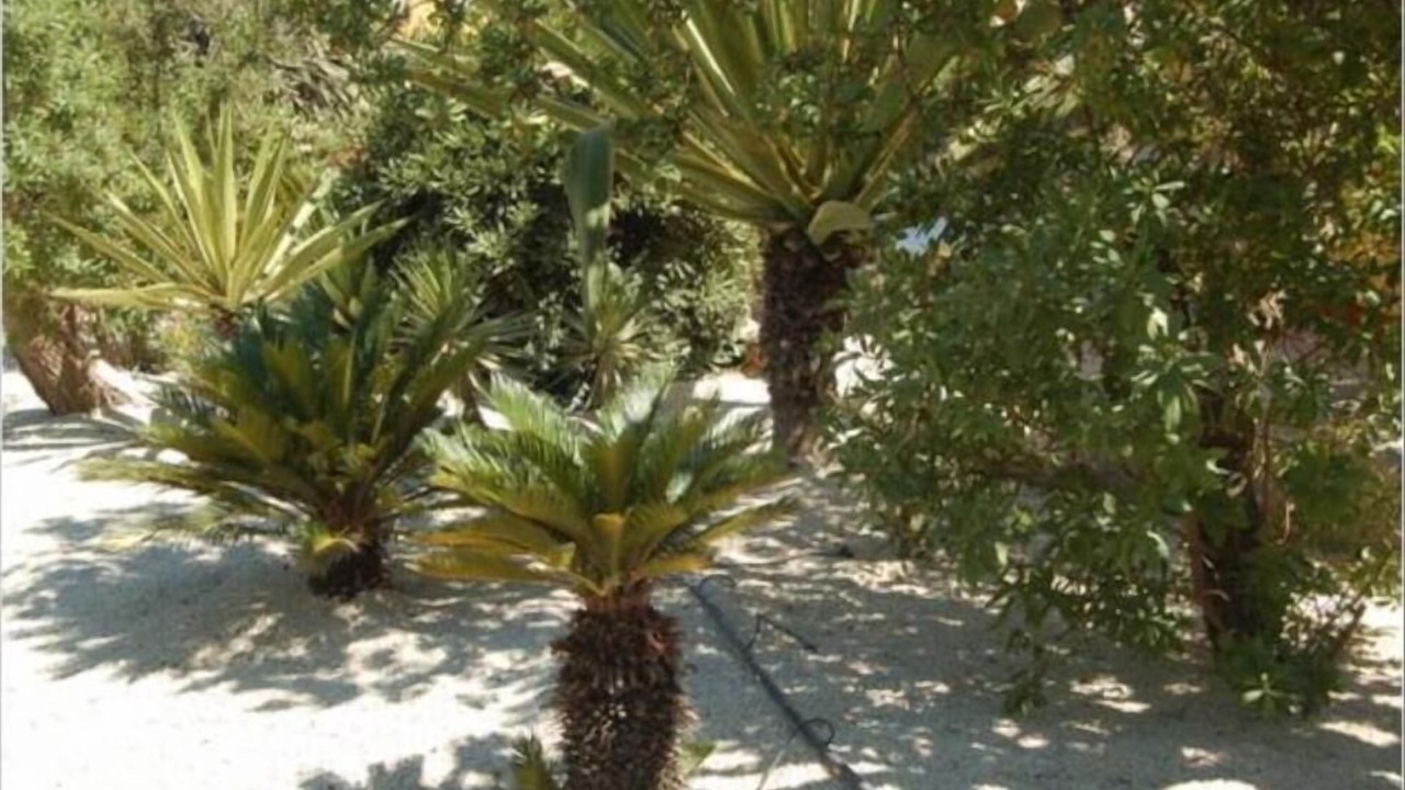 Photo of Outdoor in Sciacca