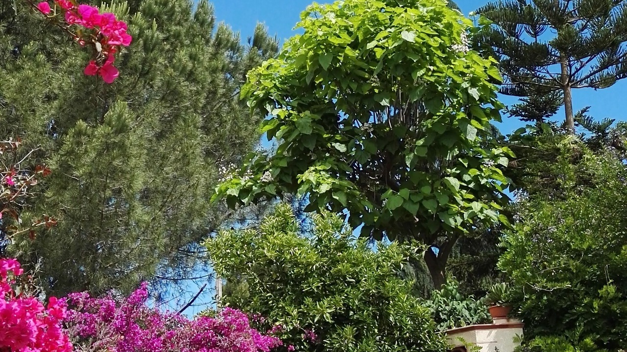 Photo of Outdoor in Caltanissetta