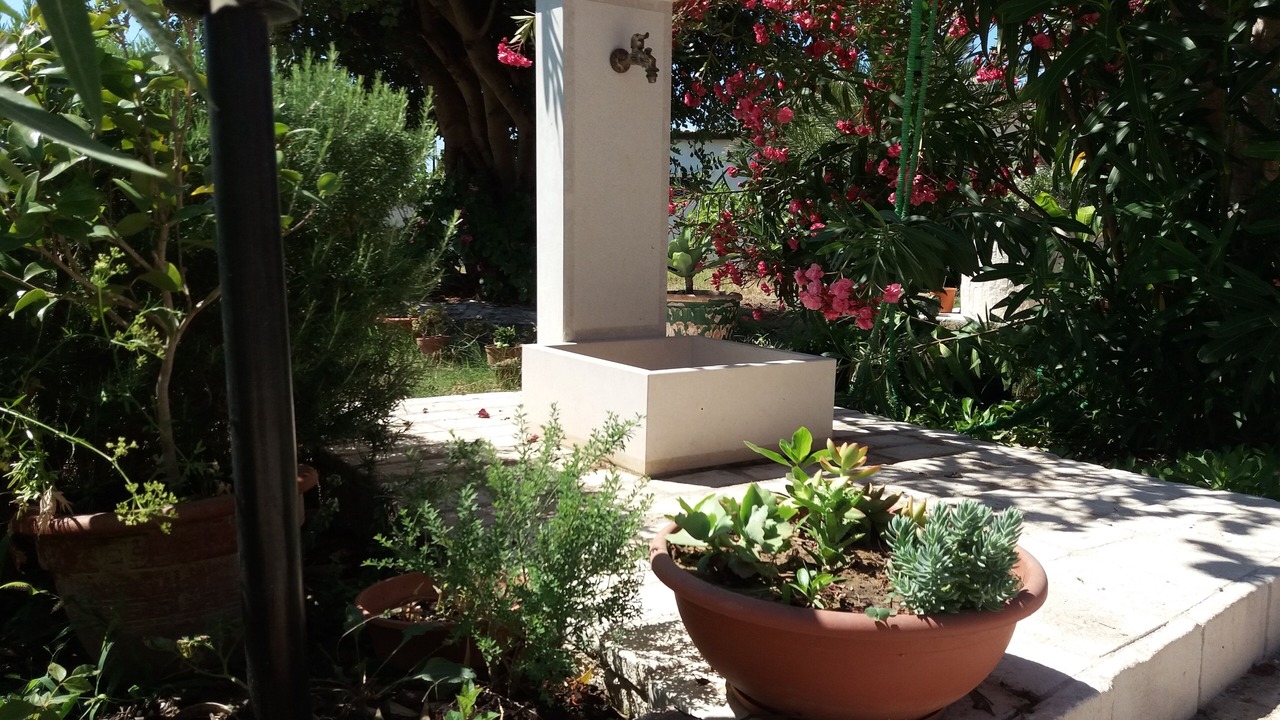 Photo of Outdoor in Santa Maria del Focallo