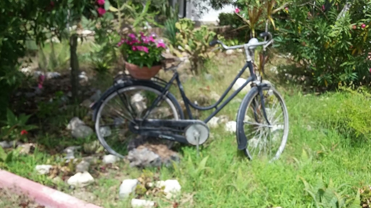 Photo of Outdoor in Santa Maria del Focallo