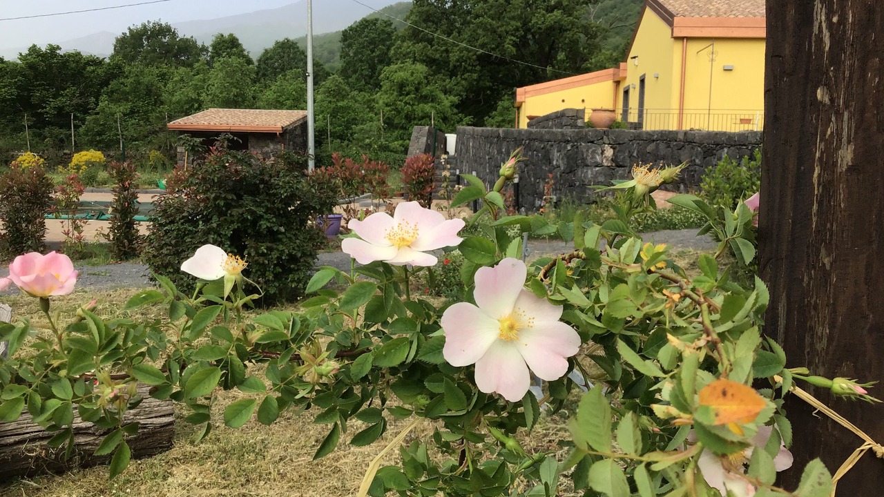 Photo of Outdoor in Mascali