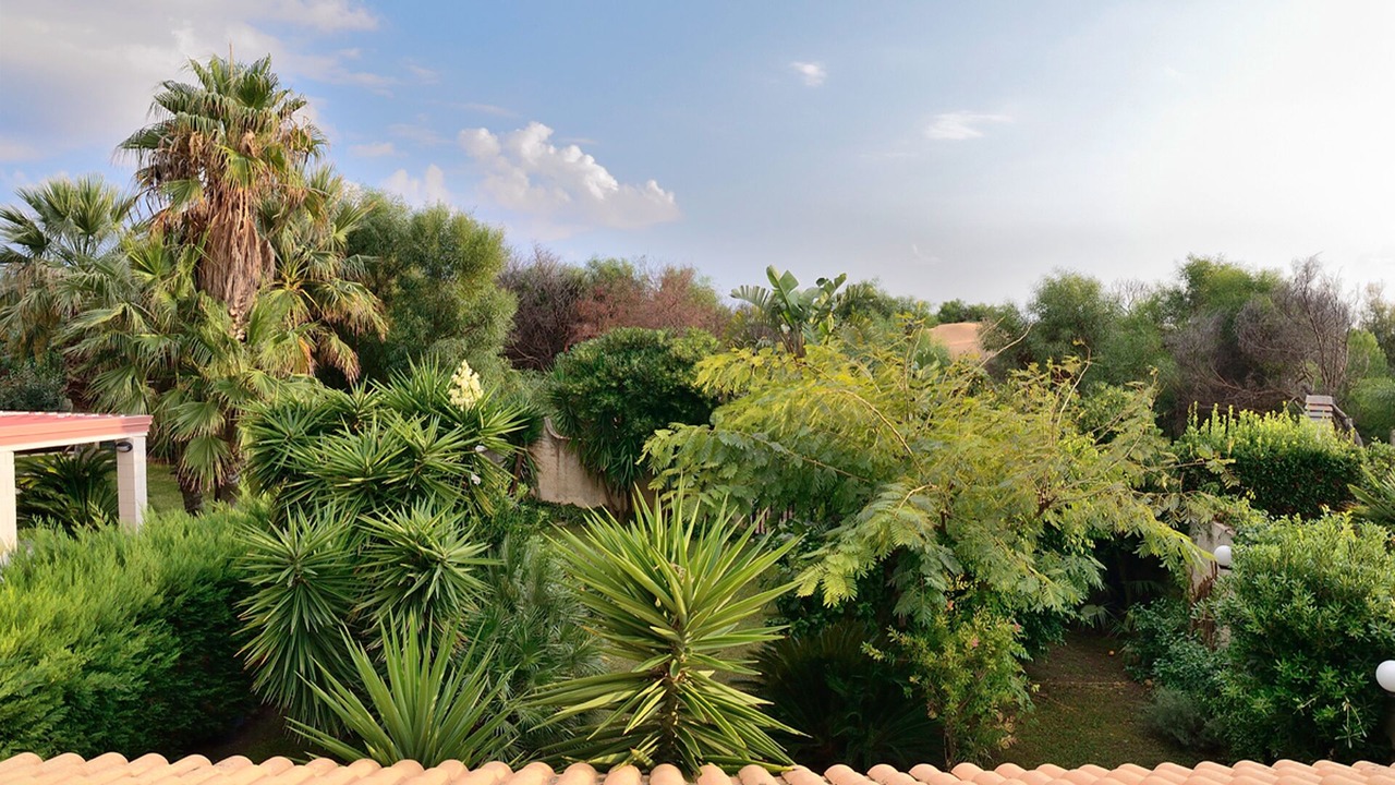 Photo of Outdoor in Santa Maria del Focallo