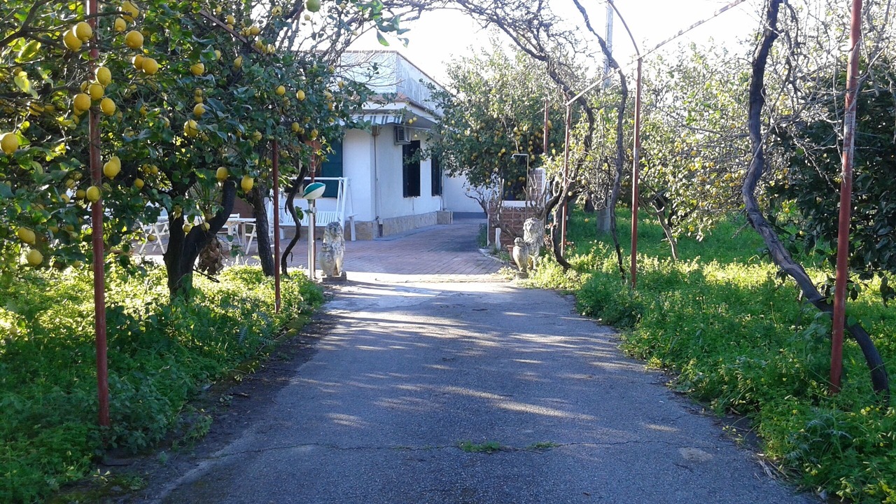 Photo of Outdoor in Trappitello