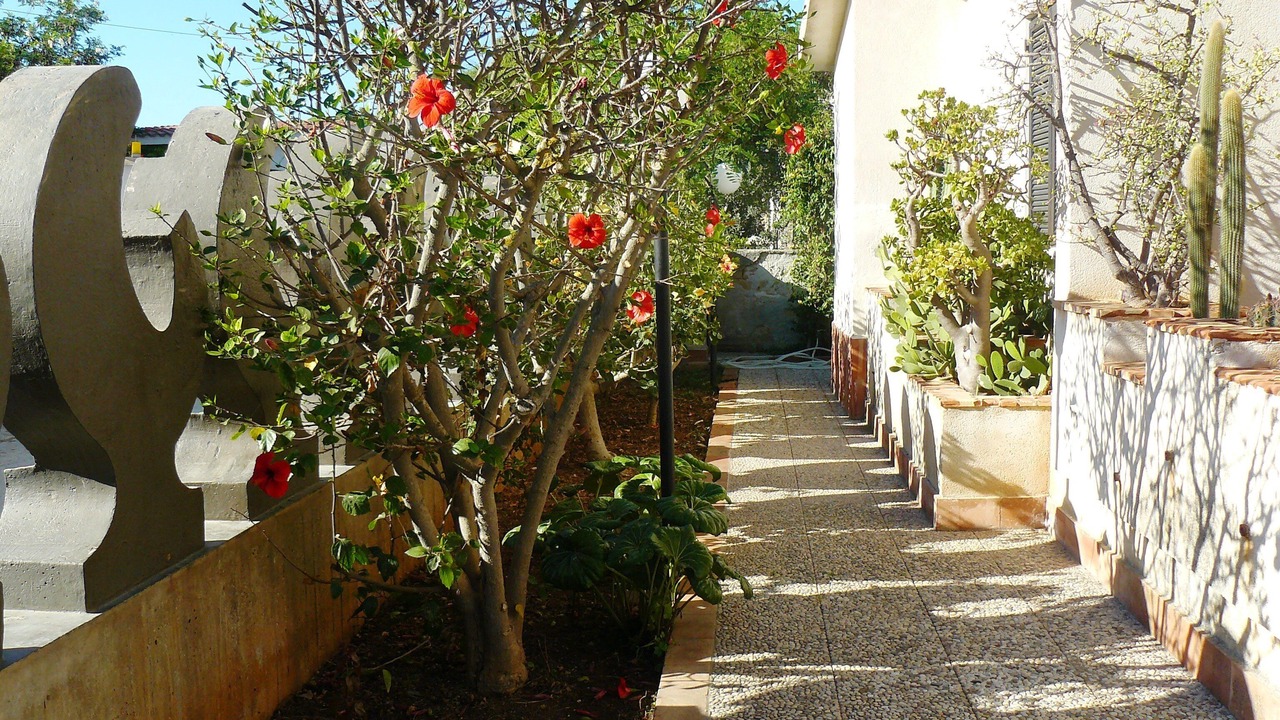 Photo of Outdoor in Mazara del Vallo