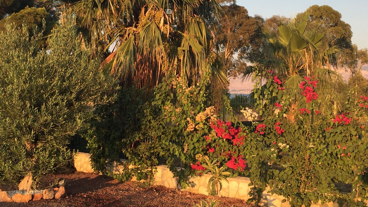 Photo of Outdoor in Carini