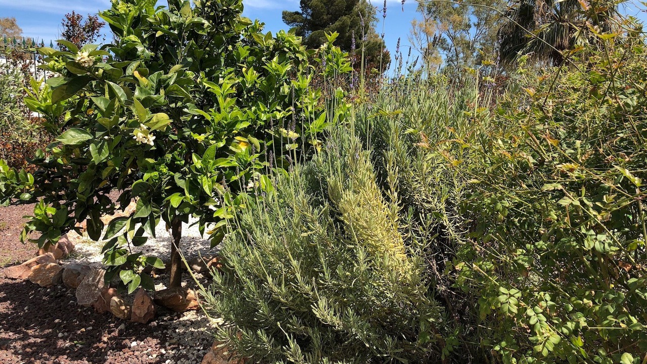 Photo of Outdoor in Carini