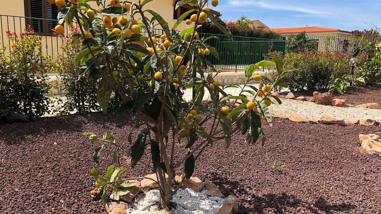 Photo of Outdoor in Carini