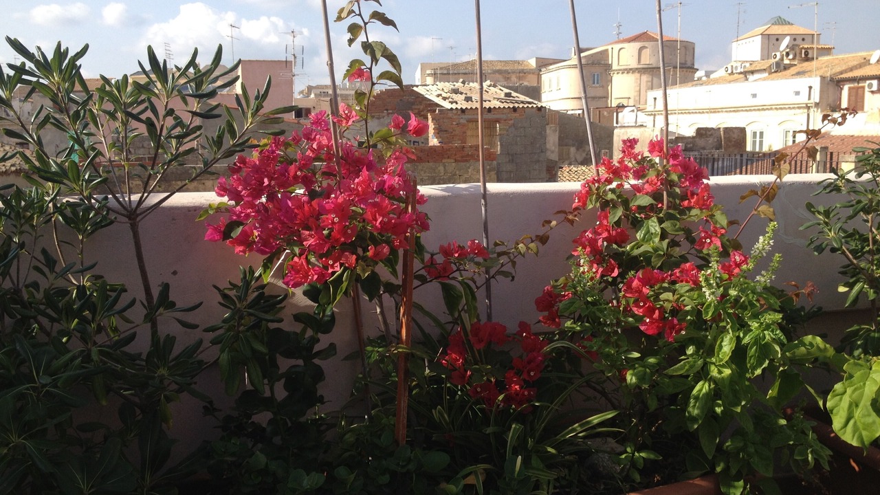 Photo of Outdoor in Ortigia