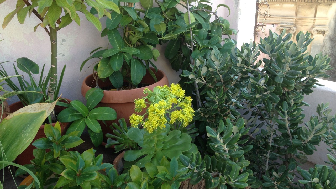 Photo of Outdoor in Ortigia