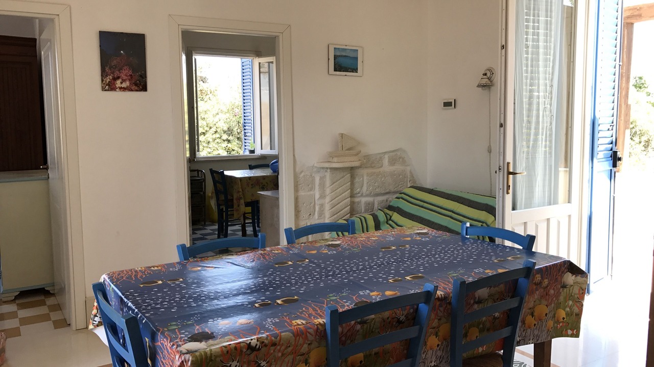 Photo of Others in Favignana