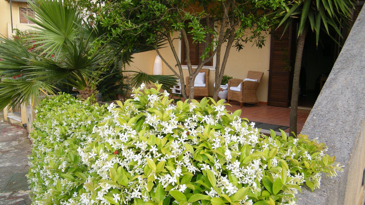 Photo of Patio Balcony in San Vito Lo Capo