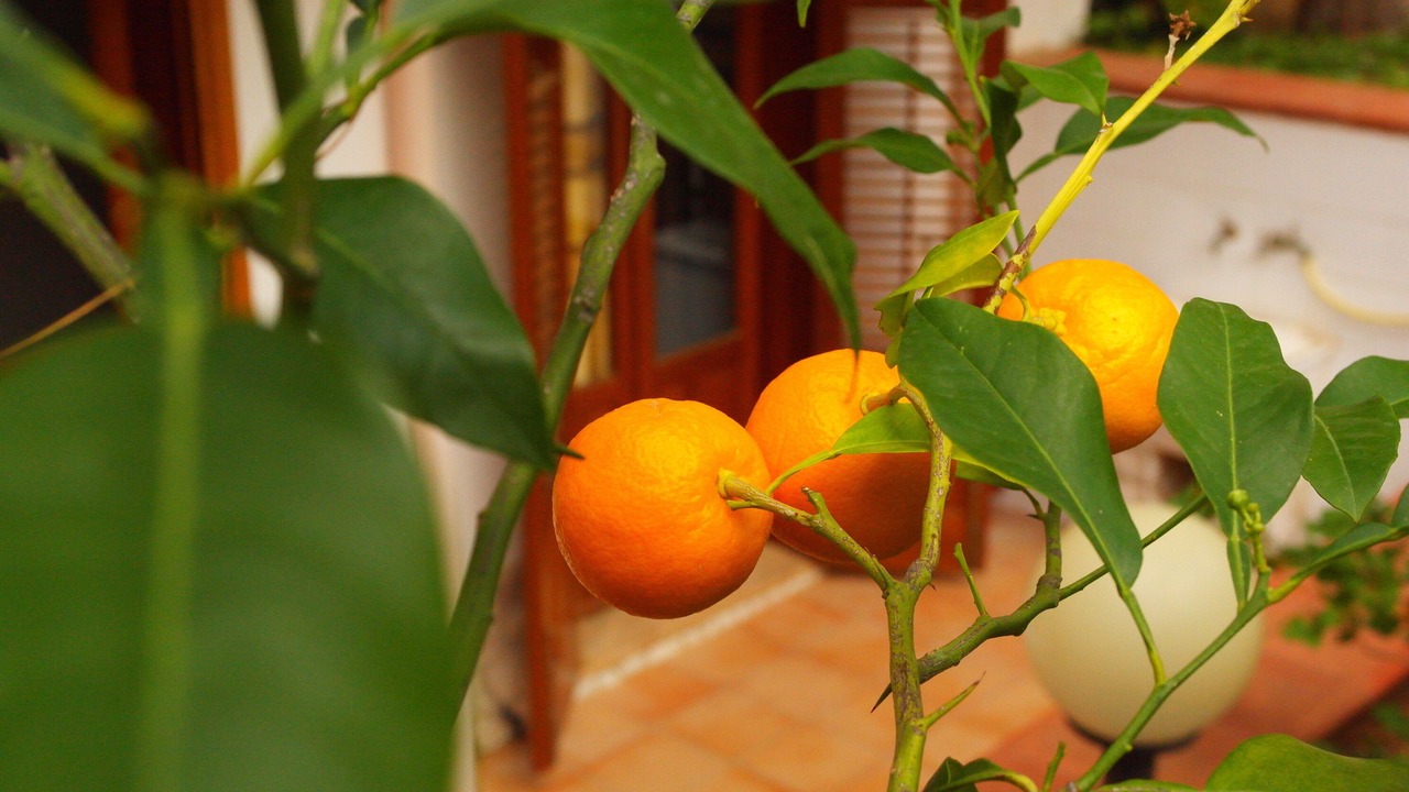 Photo of Outdoor in Marettimo