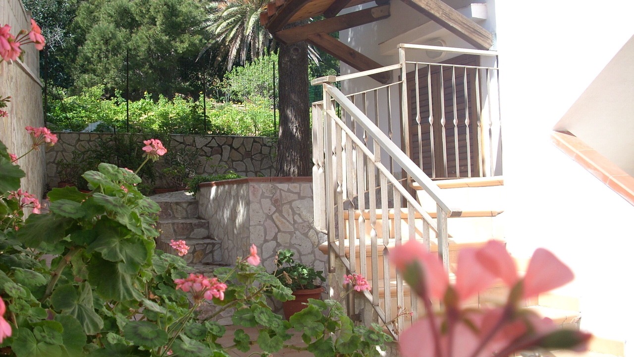 Photo of Outdoor in Marettimo